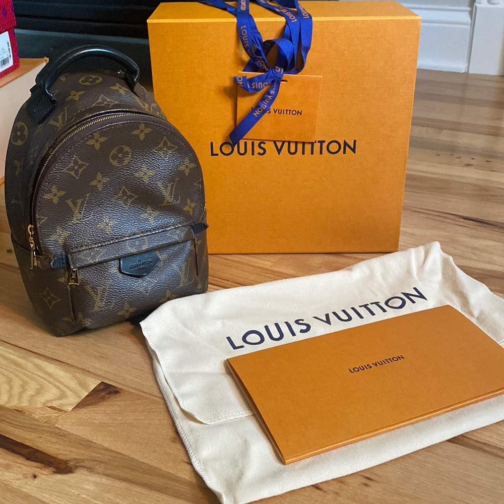Louis Vuitton Palm Springs Mini